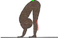 posture 10 de la Salutations aux Soleils
