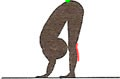 posture 3 de la Salutations aux Soleils